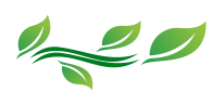 fv_icon